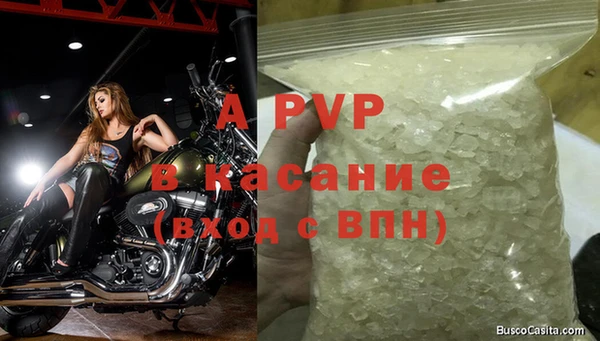 каннабис Белокуриха