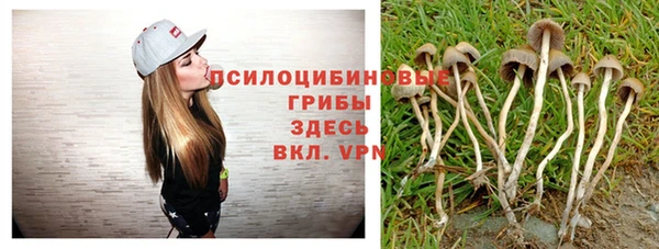 хмурый Белоозёрский