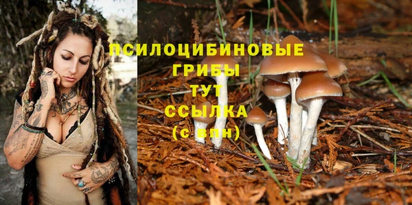 каннабис Белокуриха